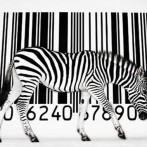 EAN & UPC – Trade Barcodes.